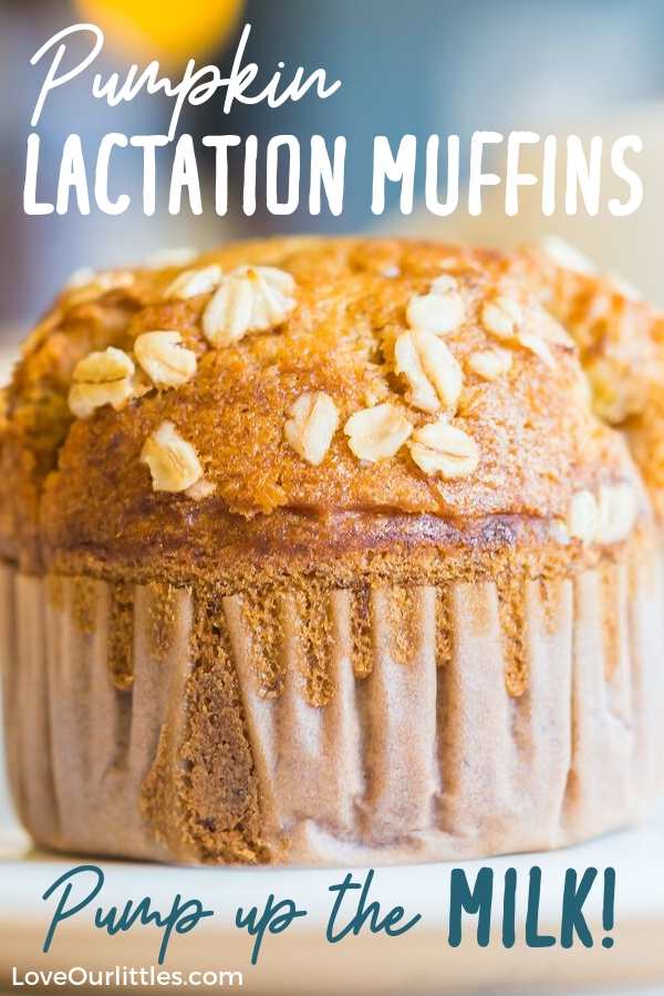 A pumpkin lactation muffin sprinkled with oatmeal.