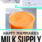 Happy yammaries milk supply smoothie recipe - pin image