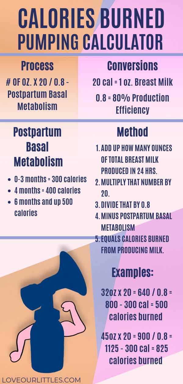 How to calculate calories burned infographic 