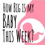how big is my baby this week featured image