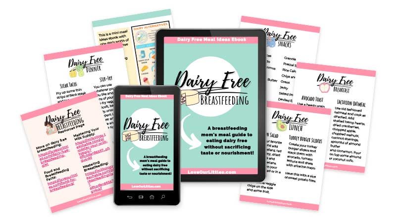 A mock up of this dairy free meal ideas ebook on an iPad and iPhone.